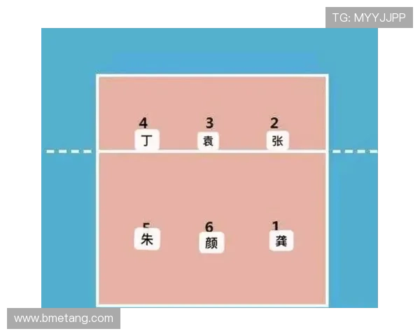 南京排球队与上海排球队的较量深度分析与战术探讨